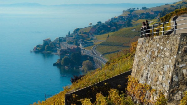 Vue depuis le Lavaux